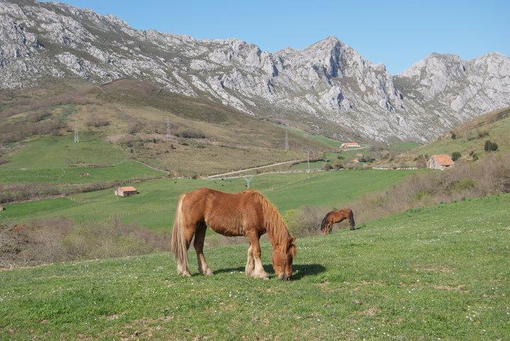 El Molino De Cicera Vendégház Kültér fotó