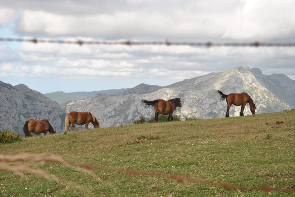 El Molino De Cicera Vendégház Szoba fotó