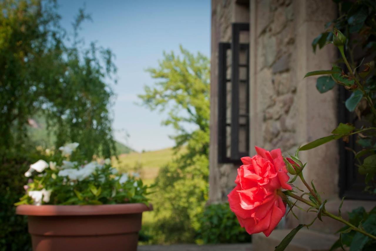 El Molino De Cicera Vendégház Kültér fotó